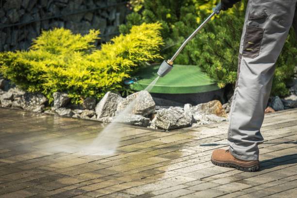 Best Vinyl Siding Pressure Washing in Bouse, AZ
